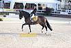 Sonntag Amateur S
