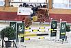 Freitag Springpferde L