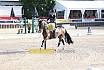 Sonntag Amateur S