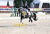 Sonntag Amateur S