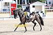 Sonntag Amateur S