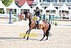 Sonntag Amateur S