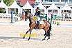 Sonntag Amateur S