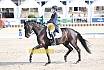 Sonntag Amateur S