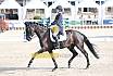 Sonntag Amateur S