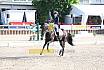 Sonntag Amateur S