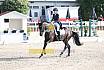 Sonntag Amateur S