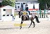 Sonntag Amateur S