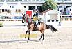 Sonntag Amateur S