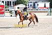 Sonntag Amateur S