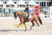 Sonntag Amateur S