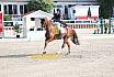 Sonntag Amateur S