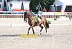 Sonntag Amateur S