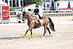 Sonntag Amateur S