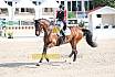 Sonntag Amateur S
