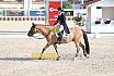 Sonntag Amateur S