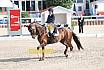 Sonntag Amateur S