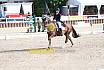 Sonntag Amateur S