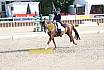 Sonntag Amateur S