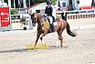 Sonntag Amateur S