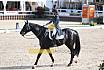 Sonntag Amateur S