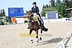 Sonntag Amateur S