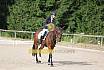 Samstag E Dressur