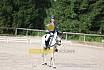 Samstag E Dressur
