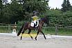 Freitag Dressurpferde L 