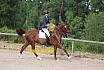 Samstag E Dressur