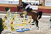 Freitg L Springen