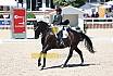 Freitag drei Sterne S