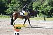 Samstag L Dressur