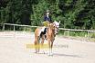 Samstag A Dressur