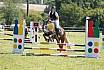 Samstag Stilspringwettbewerb