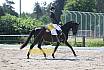 Samstag L Dressur