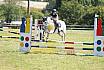 Samstag Stilspringwettbewerb