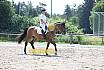 Samstag L Dressur