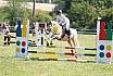 Samstag Stilspringwettbewerb