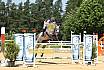 Sonntag Youngster M 