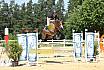 Sonntag Youngster M 
