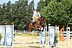 Sonntag Youngster M 