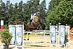 Sonntag Youngster M 