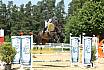 Sonntag Youngster M 