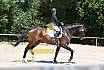 Samstag L Dressur