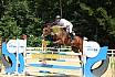 Sonntag Youngster M 