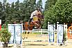 Sonntag Youngster M 