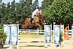 Sonntag Youngster M 