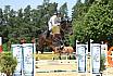 Sonntag Youngster M 