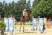 Sonntag Youngster M 